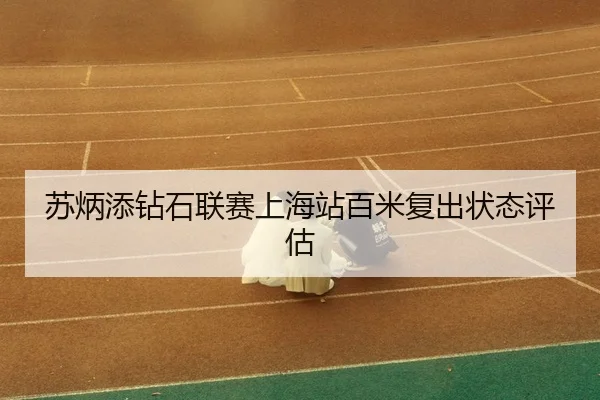 su-bing-tian-zuan-shi-lian-sai-shang-hai-zhan-bai-mi-fu-chu-zhuang-tai-ping-gu-3-980.jpg