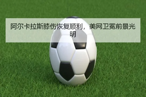 a-er-ka-la-si-xi-shang-hui-fu-shun-li-mei-wang-wei-mian-qian-jing-guang-ming-3-279.jpg