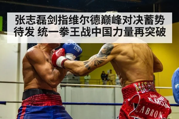 张志磊剑指维尔德巅峰对决蓄势待发 统一拳王战中国力量再突破
